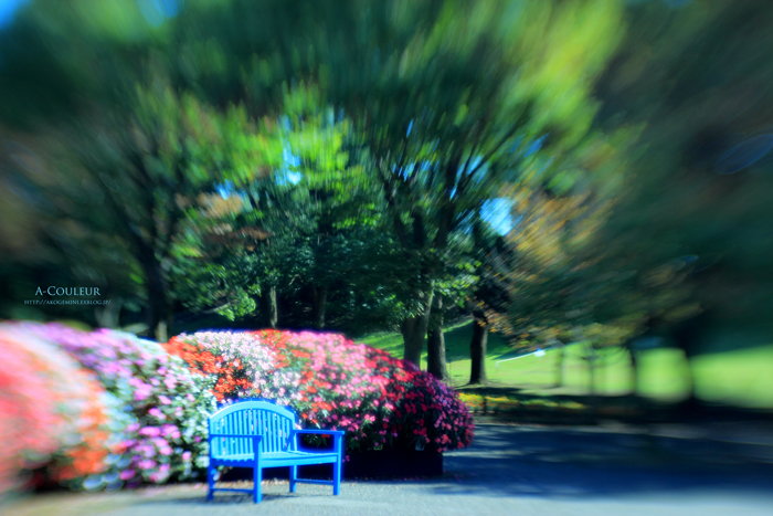 Blue  chair_b0213791_15284983.jpg