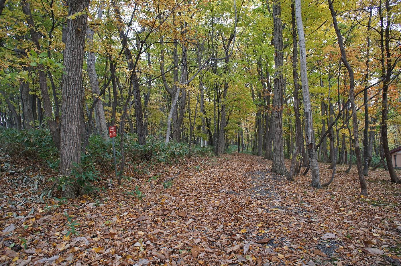 a0248508_10515162.jpg