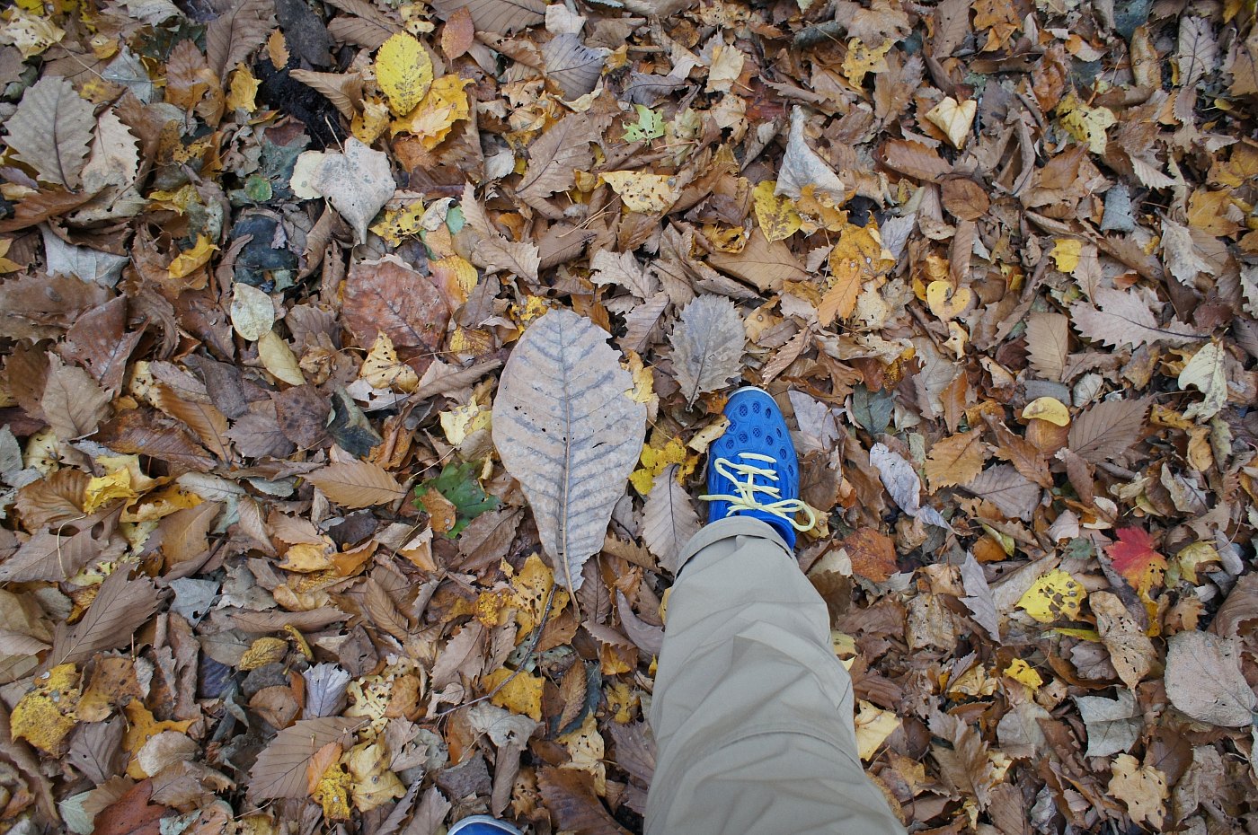 a0248508_1052560.jpg