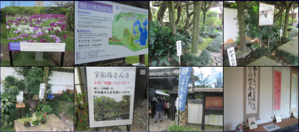 f0231709_23274547.png