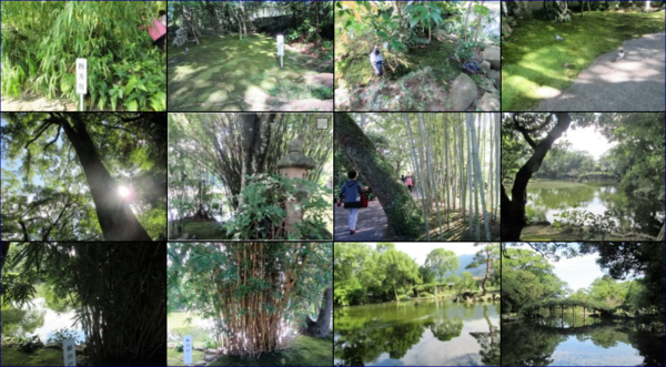 f0231709_23443521.png