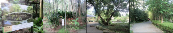 f0231709_234443.png
