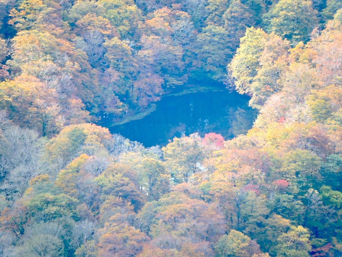 銚子ヶ峰〜三ノ峰（後編）10月26日（水）_c0078410_15161290.jpg