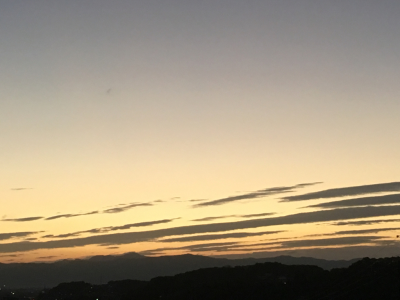f0356611_20323943.jpg