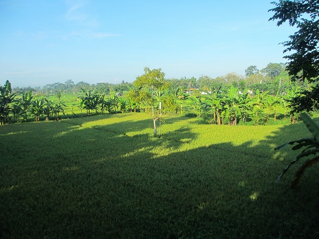 d0224712_15435924.jpg