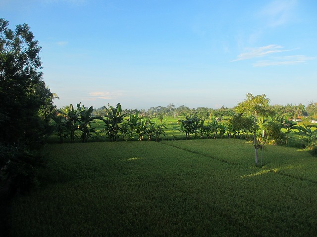 d0224712_16250548.jpg