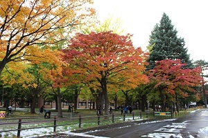c0200413_11461751.jpg