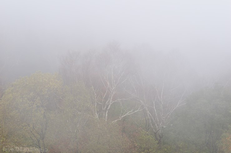 奥日光 半月峠 中禅寺湖スカイライン ～紅葉～ 1_d0319222_20293310.jpg