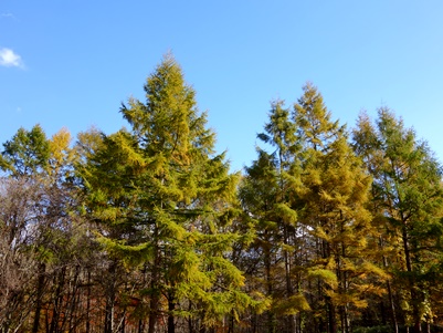 c0204725_20111878.jpg