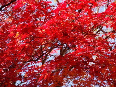 c0204725_20115246.jpg