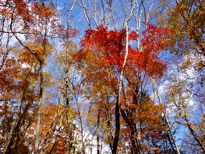 c0204725_2014132.jpg