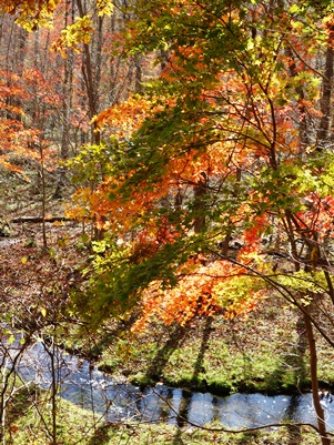 c0204725_2016568.jpg