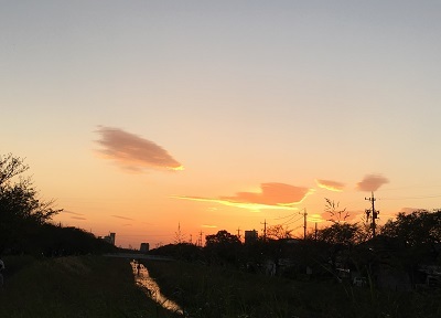 b0190530_20380916.jpg
