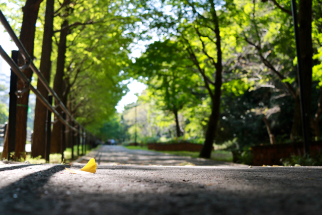 【保土ケ谷公園】_f0348831_21134571.jpg