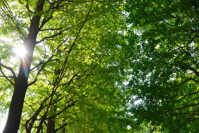 【保土ケ谷公園】_f0348831_21135428.jpg