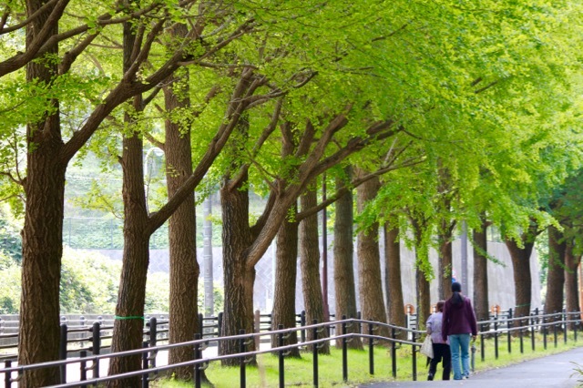 【保土ケ谷公園】_f0348831_21135463.jpg