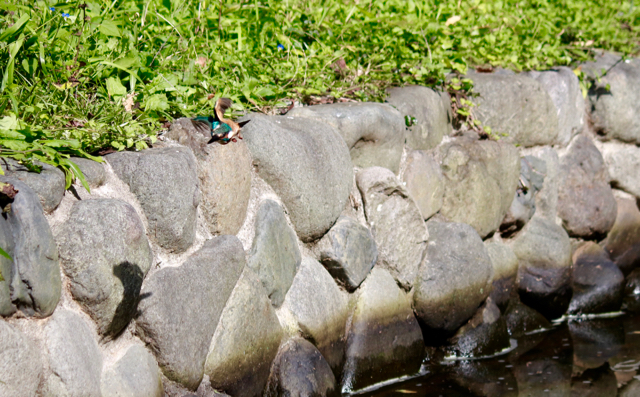 【保土ケ谷公園】_f0348831_21140971.jpg