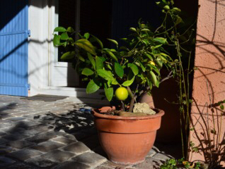 f0327534_11430066.jpg