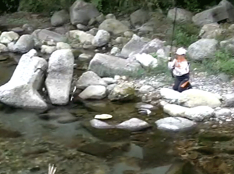 a0056140_1518832.gif