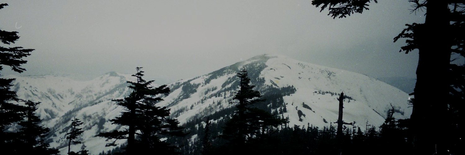 d0347140_17273313.jpg