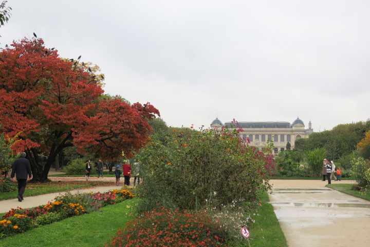 e0300042_1332541.jpg