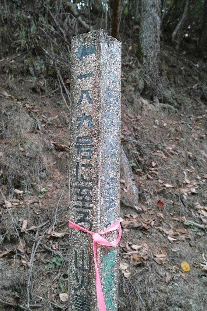 c0008948_9362054.jpg