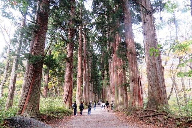 信越自動車道横川SAから戸隠森林植物園_b0227552_21430913.jpg