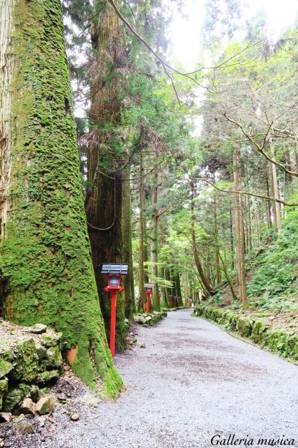 貴船神社　結社編　その１。〜あさきゆめみし 京を巡る旅〜_f0351853_17332923.jpg