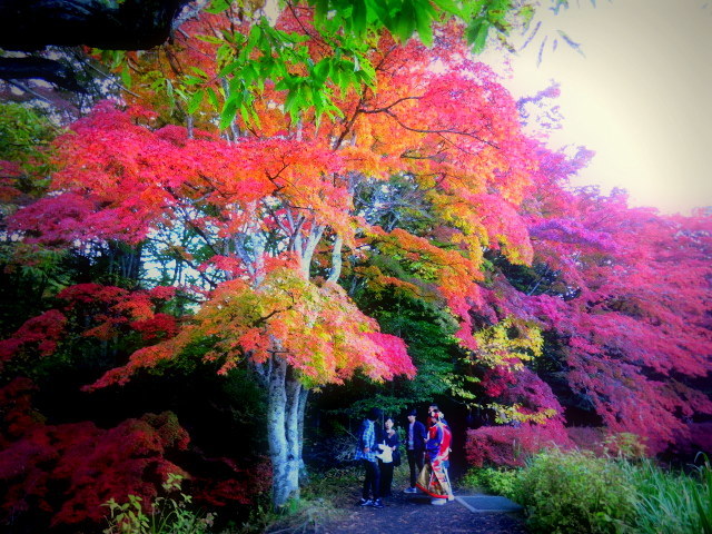 10月27日の雲場池＊軽井沢の紅葉速報・2016_f0236260_22174320.jpg