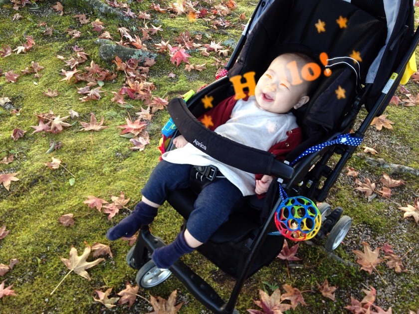 a0295764_23441439.jpeg