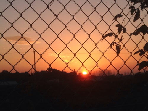 夕陽と散歩_e0136066_17534246.jpg