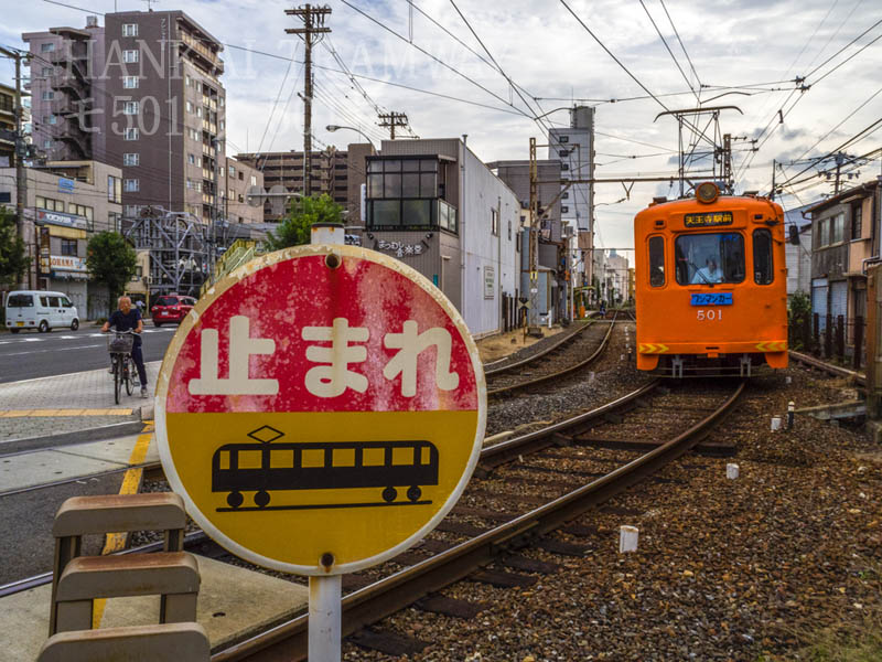 阪堺電気軌道　モ５０１形 ５０１号　さくらインターナショナルスクール　　[#742]_f0332379_20303470.jpg