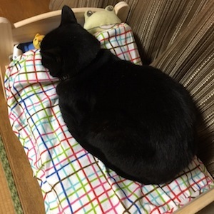 IKEAのベッドは猫御用達_a0191183_21253136.jpg