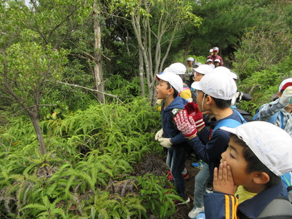 淡輪小学校2年遠足・孝子の森_f0053885_21281454.jpg