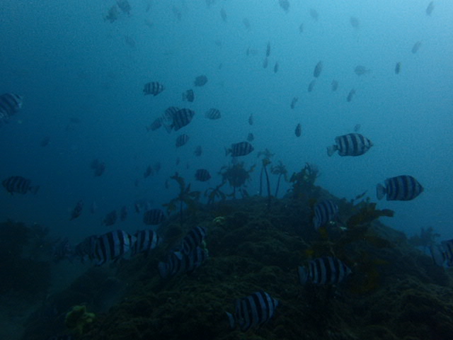 f0151886_162846.jpg