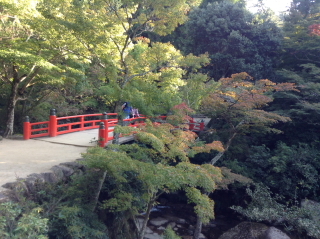 a0233991_20041990.jpg