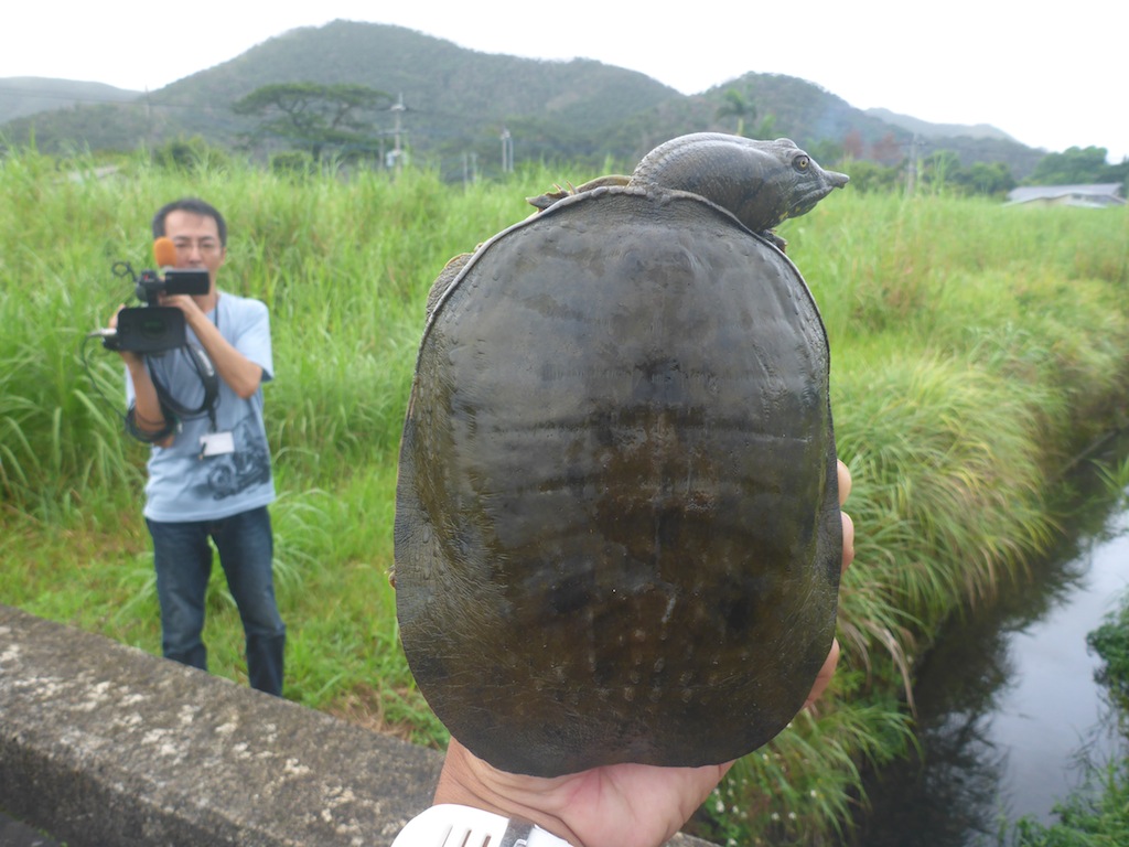 9/27 外来水生生物駆除_a0010095_0323743.jpg