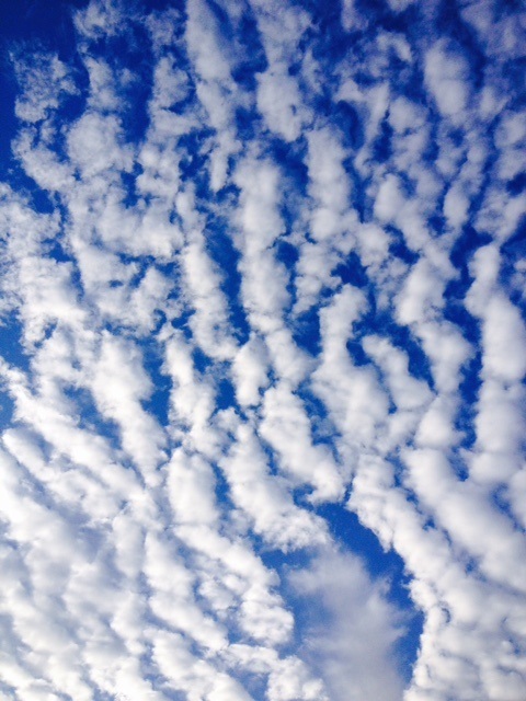 f0204295_22392073.jpg