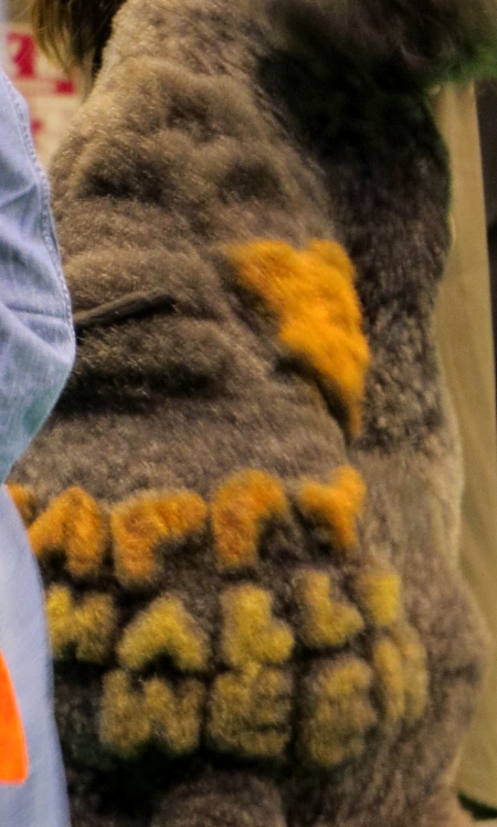 f0033598_22392056.jpg