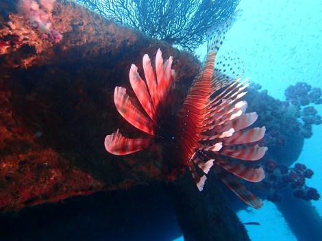 e0115199_15435865.jpg