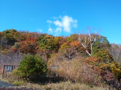 紅葉狩りヒルクライム。①_b0040606_212233100.jpg