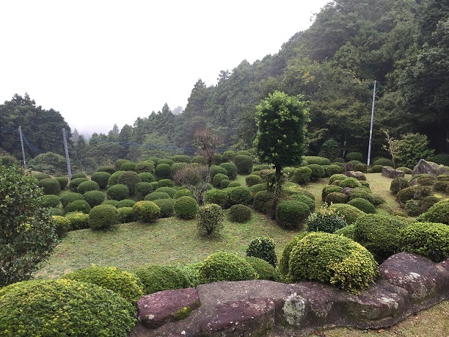 つつじ庵（嘉麻市）と魚楽園亀草庵（田川郡川崎町）_f0364707_20100964.jpg