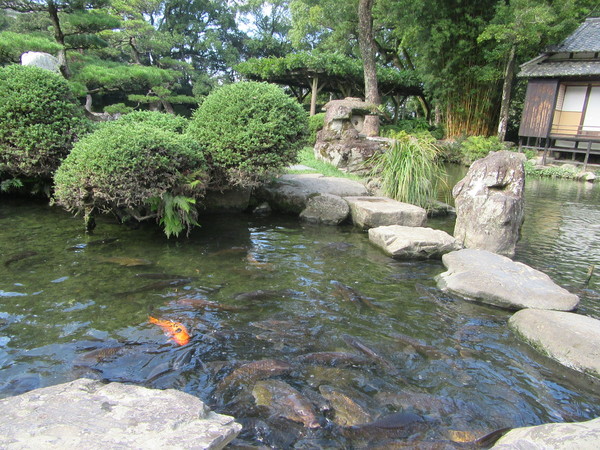 久万美術館と宇和島の天赦園・伊達博物館を巡る旅…2016/10/27_f0231709_0191834.jpg