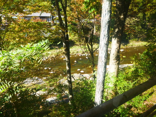 a0236914_916276.jpg