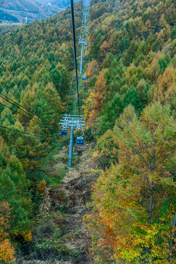 b0010915_21552533.jpg