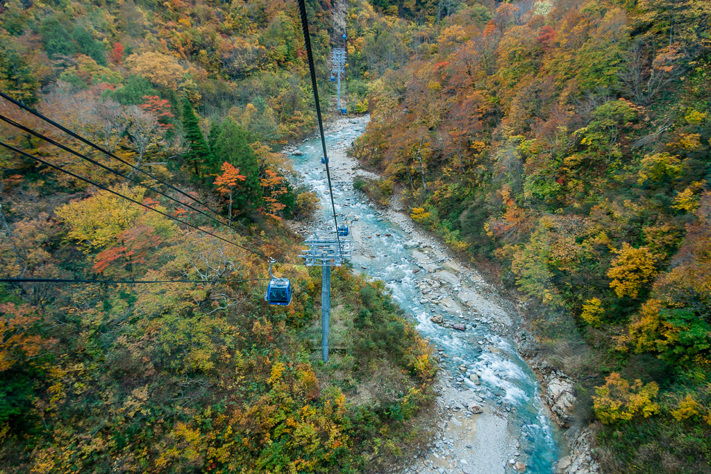 b0010915_21555447.jpg