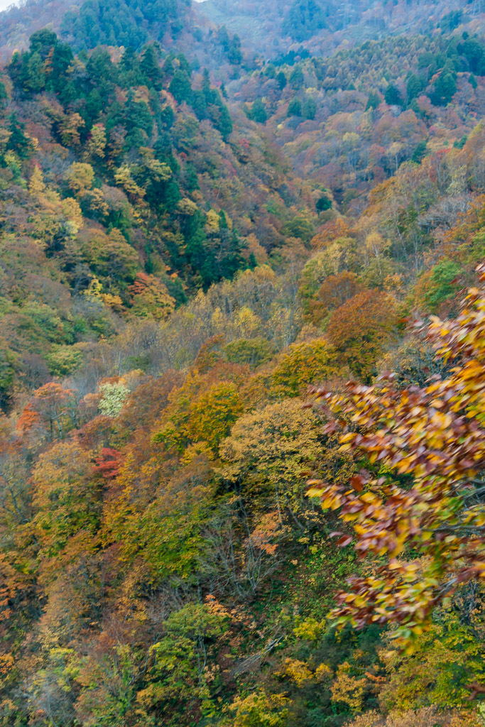 b0010915_21562694.jpg