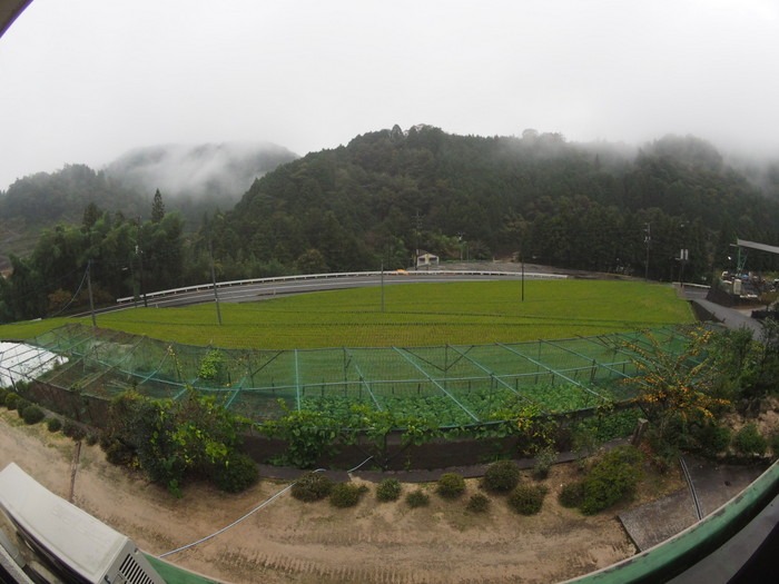 小雨の一日_c0116915_23593611.jpg