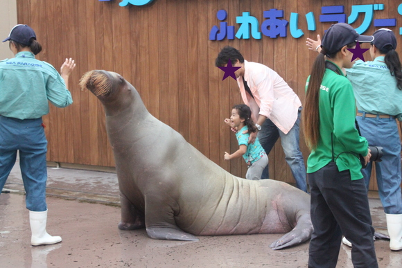 f0233916_2013430.jpg