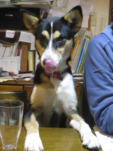 c0323917_0295653.jpg